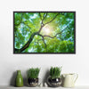Tree Canopy Sunshine Wall Art