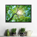 Tree Canopy Sunshine Wall Art