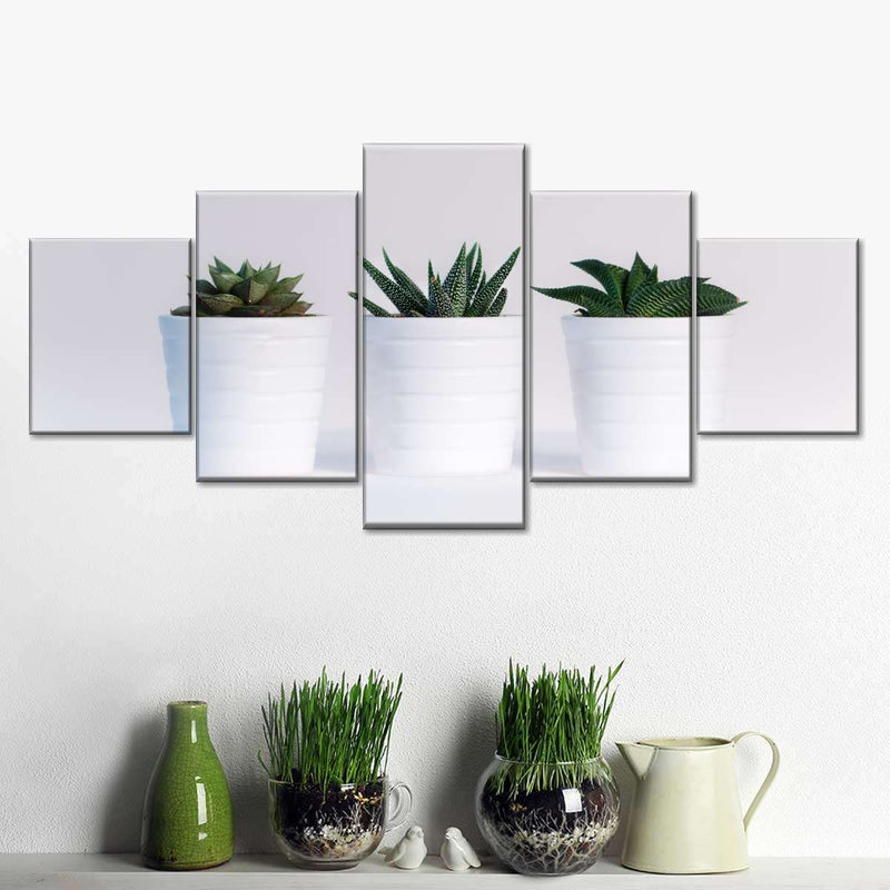 Three Succulents Wall Art