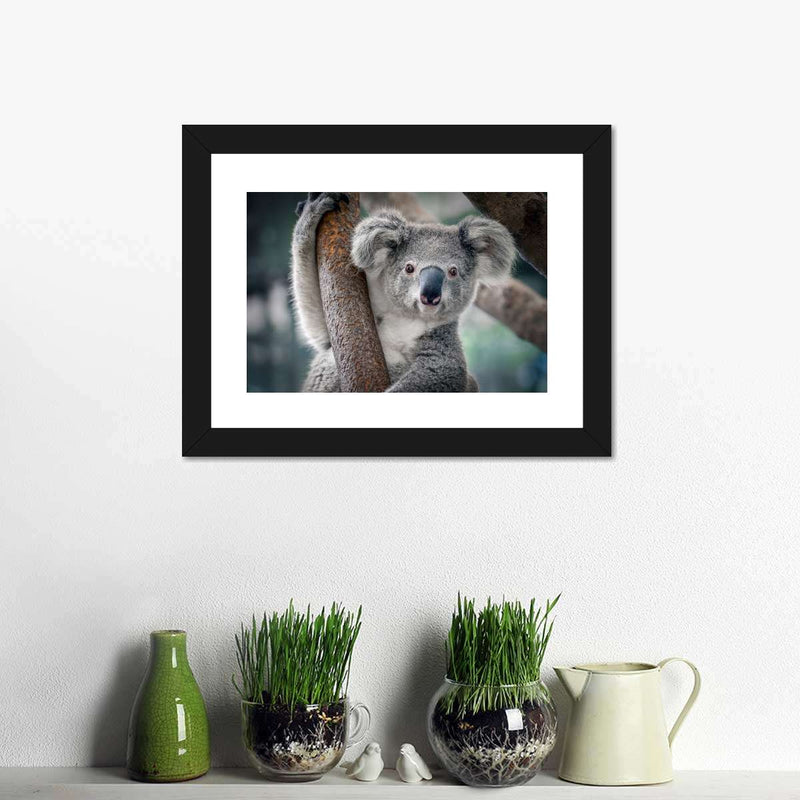 Happy Koala Wall Art