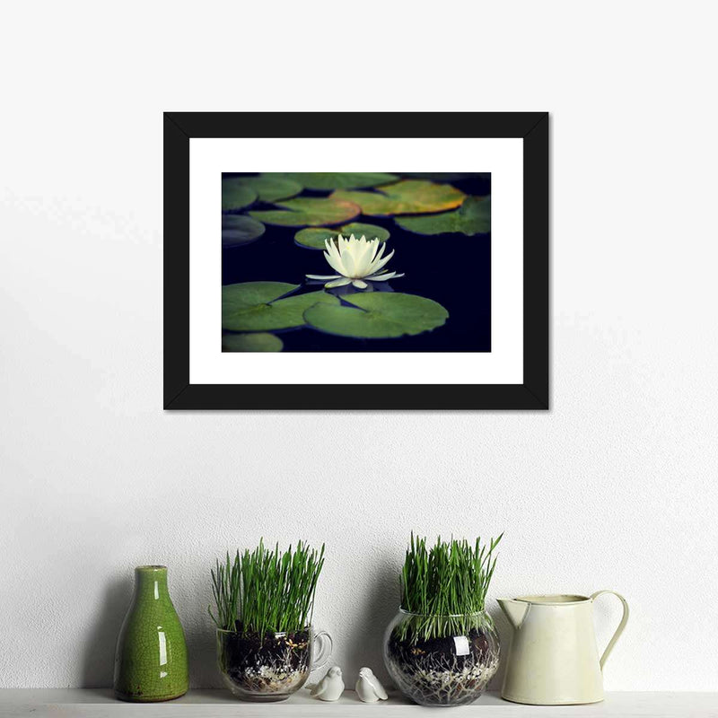 Lotus And Leaves Wall Art