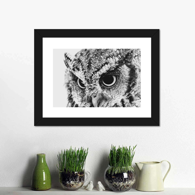 Staring Owl Wall Art