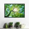 Tree Canopy Sunshine Wall Art