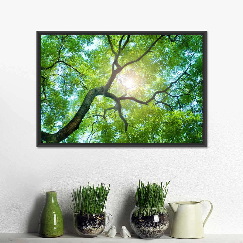 Tree Canopy Sunshine Wall Art