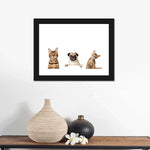 Pug And Cats Wall Art