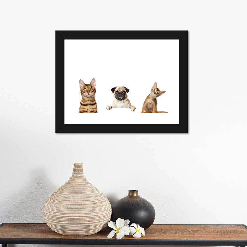 Pug And Cats Wall Art