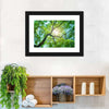 Tree Canopy Sunshine Wall Art
