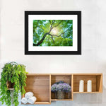 Tree Canopy Sunshine Wall Art