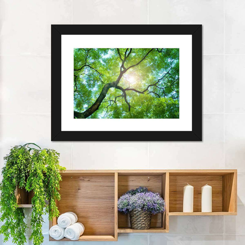 Tree Canopy Sunshine Wall Art