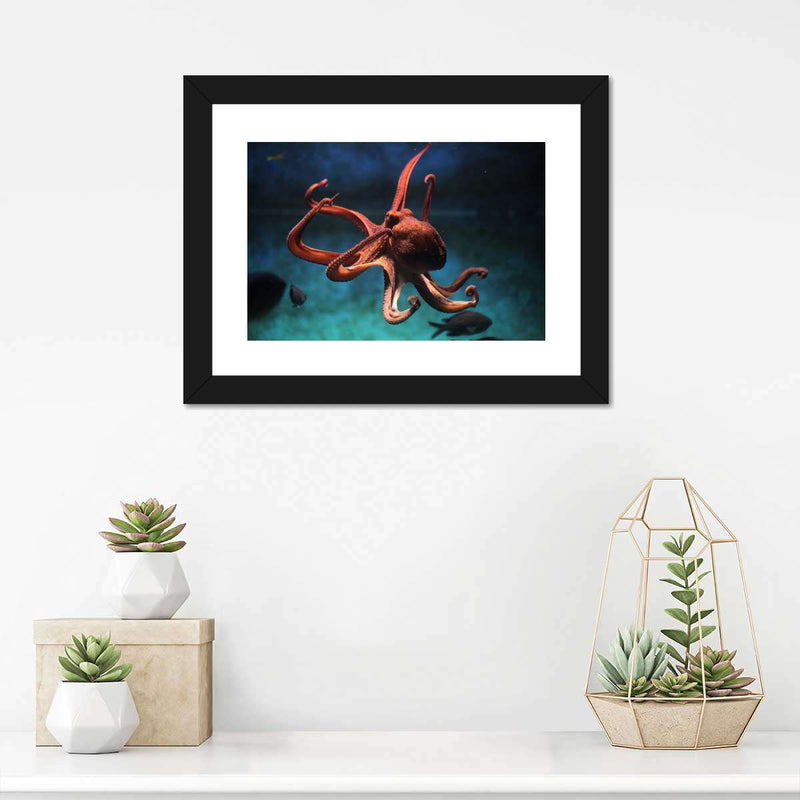 Octopus Vulgaris Wall Art