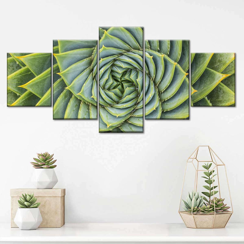 Spiral Succulent Wall Art