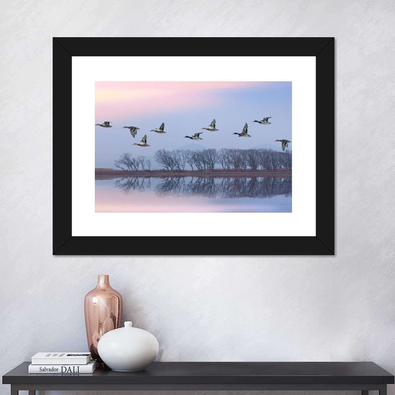 Pink Sky Over Ducks Wall Art