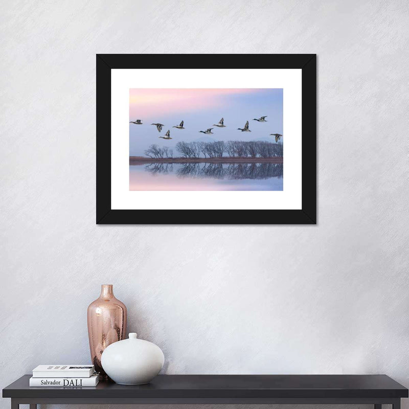 Pink Sky Over Ducks Wall Art