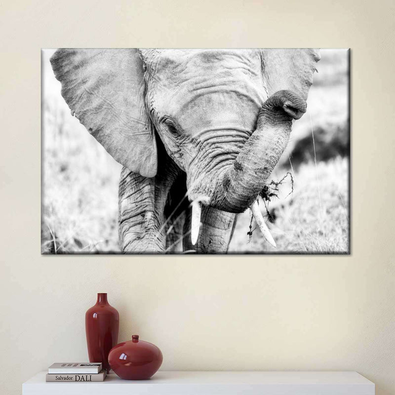 Kenyan Baby Elephant Wall Art