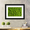 Green Reindeer Moss Wall Art