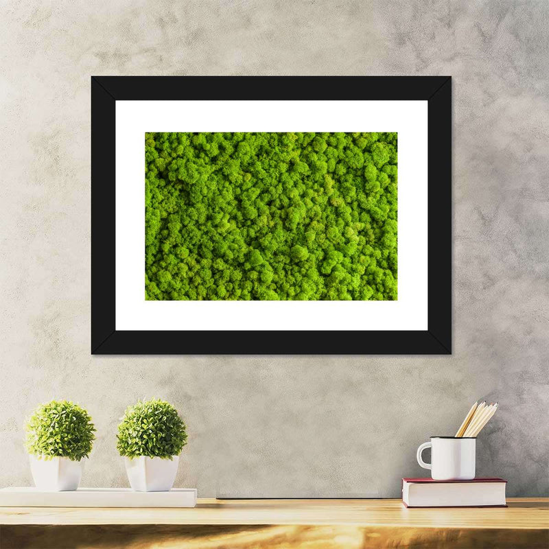 Green Reindeer Moss Wall Art