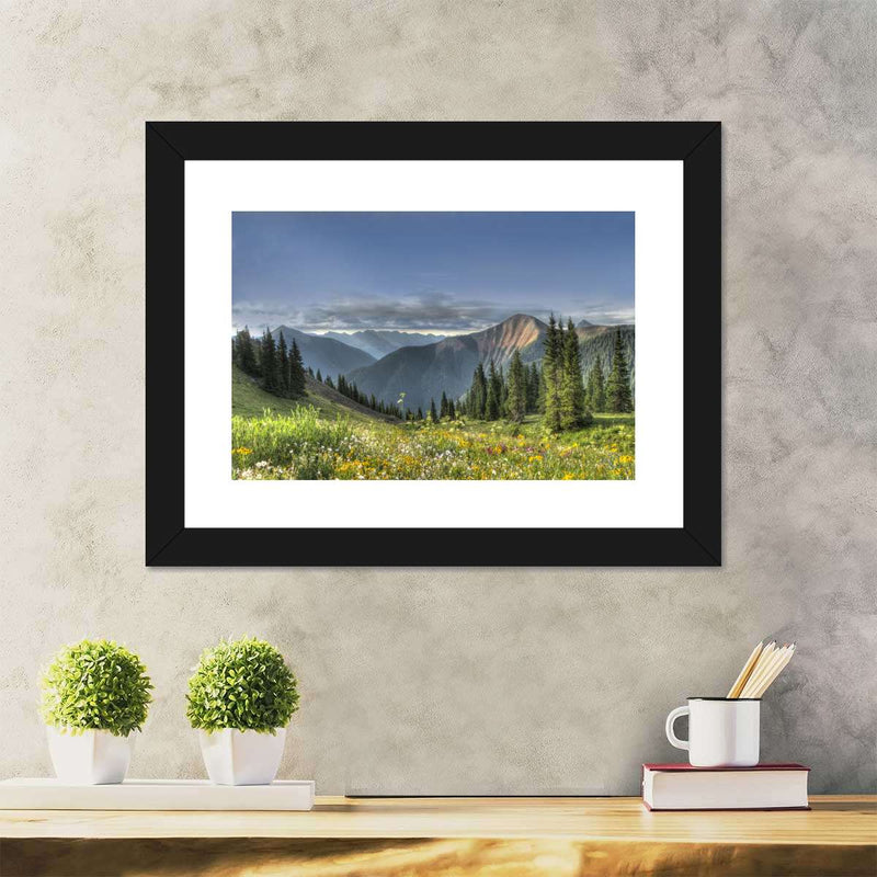 Rocky Mountain National Park Meadow Wall Art