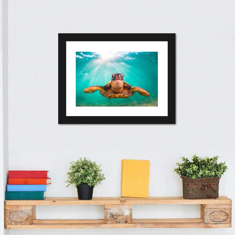 Maui Green Turtle Wall Art