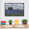 Texas Bluebonnets Wall Art