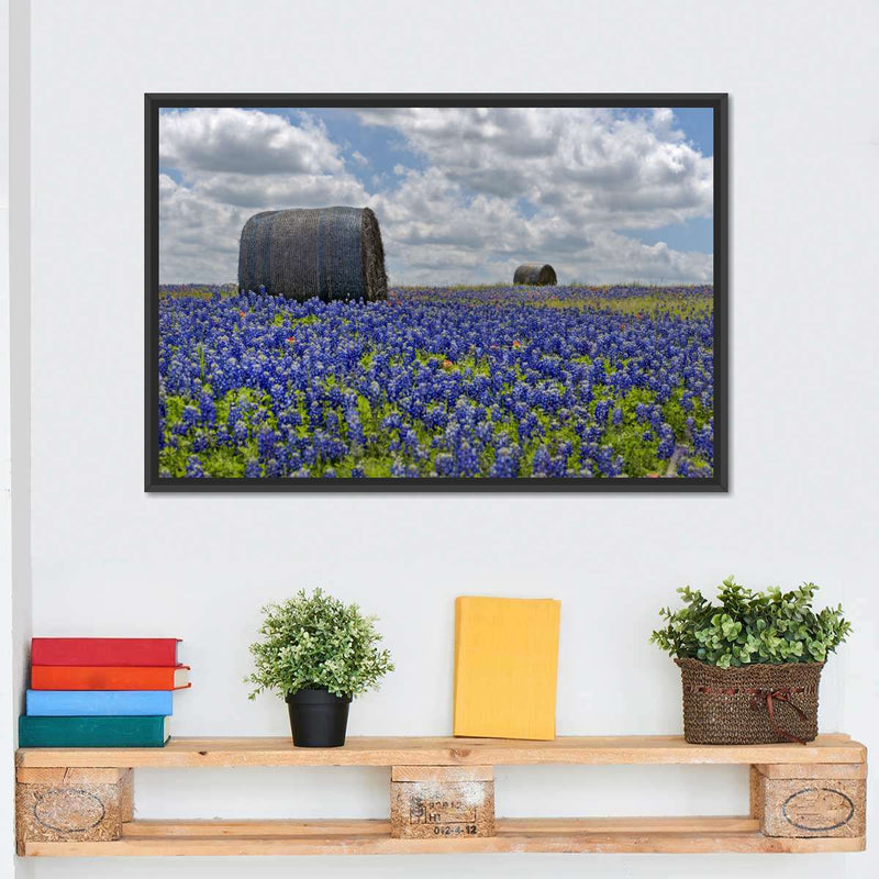 Texas Bluebonnets Wall Art