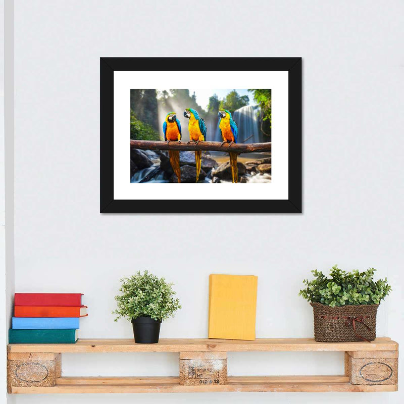 Macaw Friends Wall Art