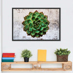 Grunge Succulent Wall Art