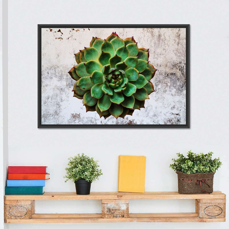 Grunge Succulent Wall Art