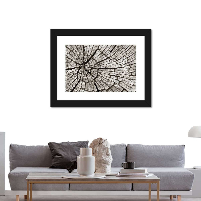 Tree Stump Wall Art