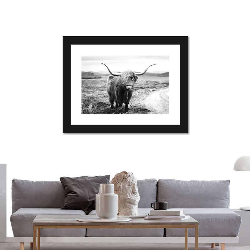 Highland Bull Wall Art