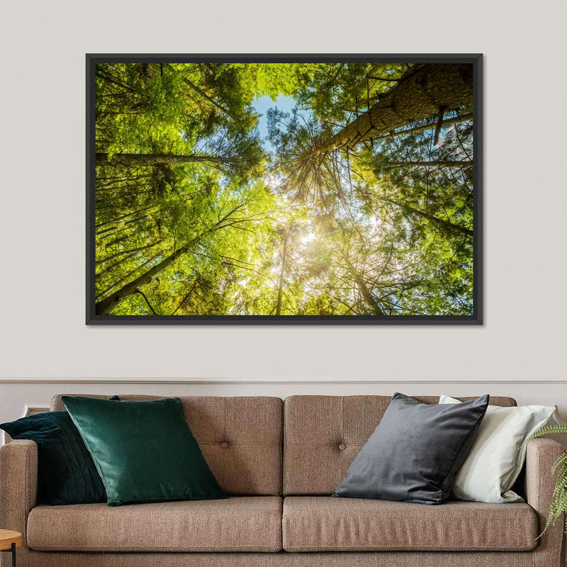 Tree Top Wall Art