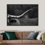 Texas Longhorn Cattle Wall Art