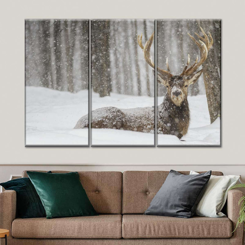 Snow Covered Elk Wall Art