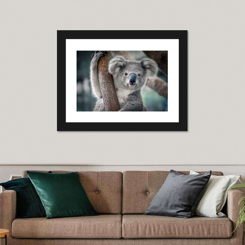 Happy Koala Wall Art