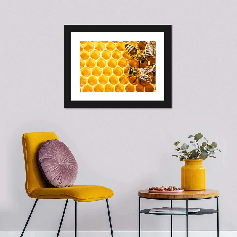 Honey Bee Hive Wall Art