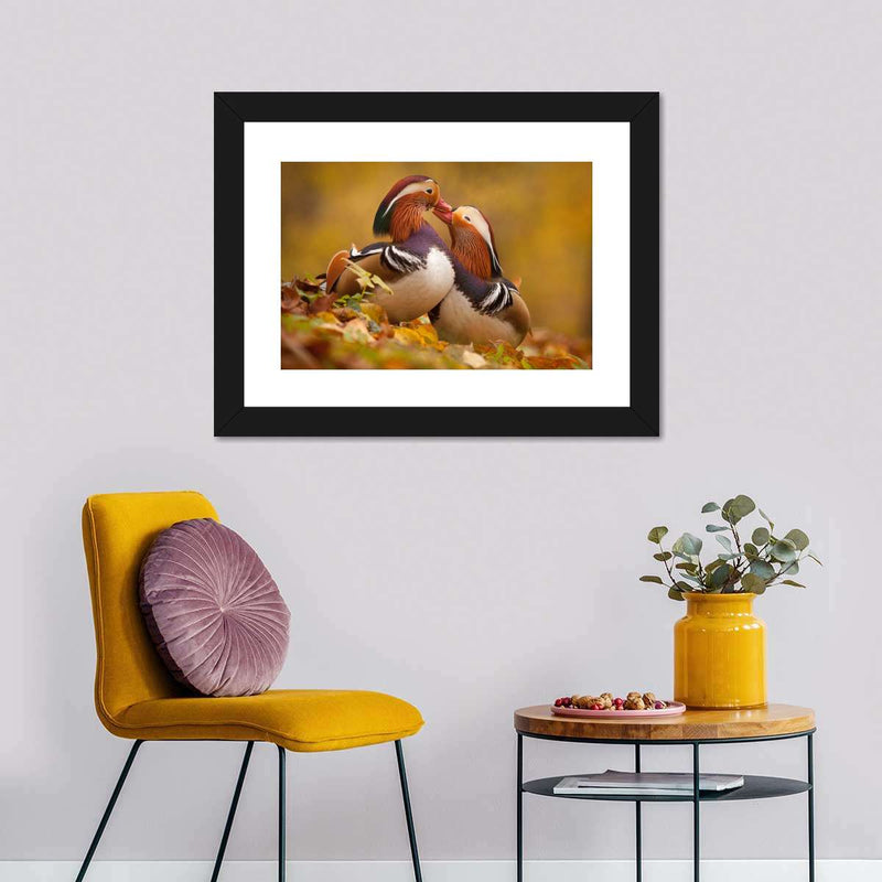 Loving Mandarin Ducks Wall Art