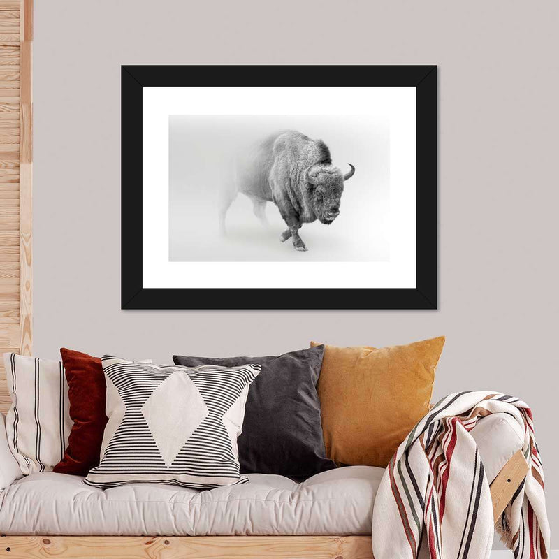 Wild Bison Wall Art