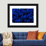 Royal Blue Roses Wall Art