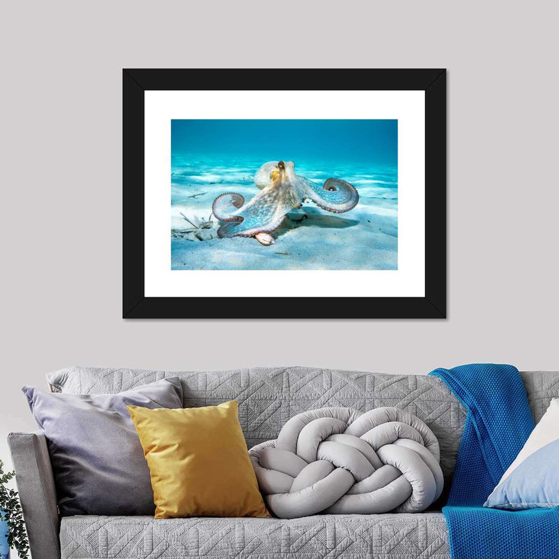 Roaming Octopus Wall Art
