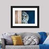 Peeking Owl Wall Art