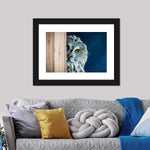 Peeking Owl Wall Art