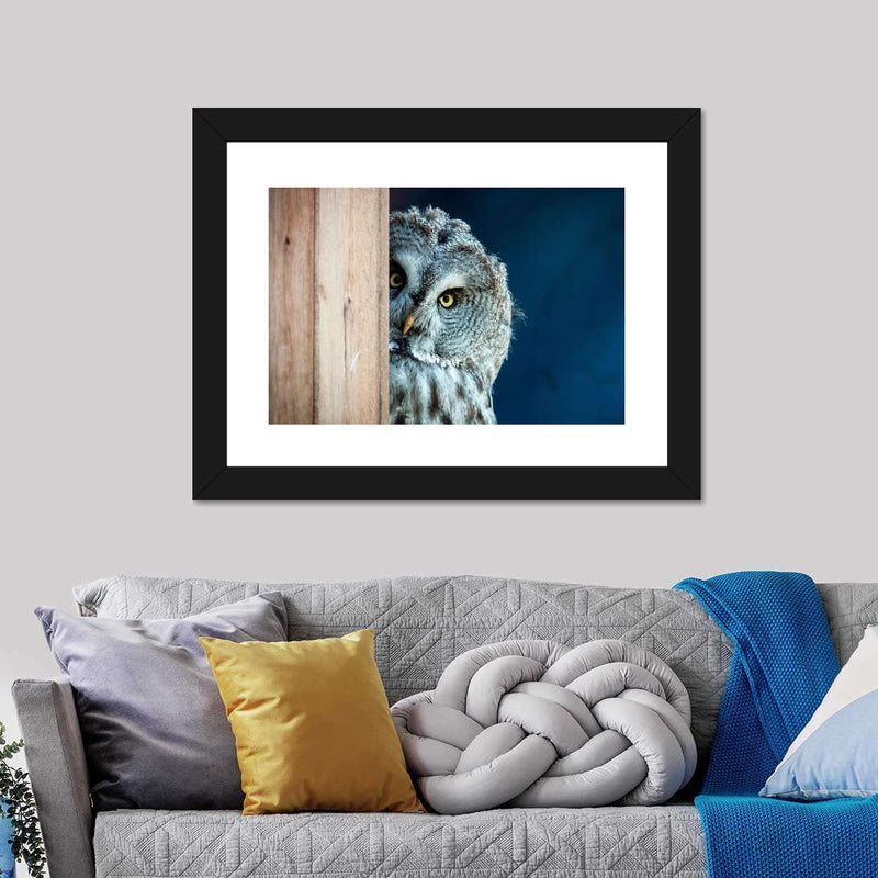 Peeking Owl Wall Art