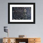 Spider Web Wall Art
