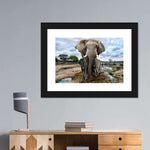 Safari Elephants Wall Art