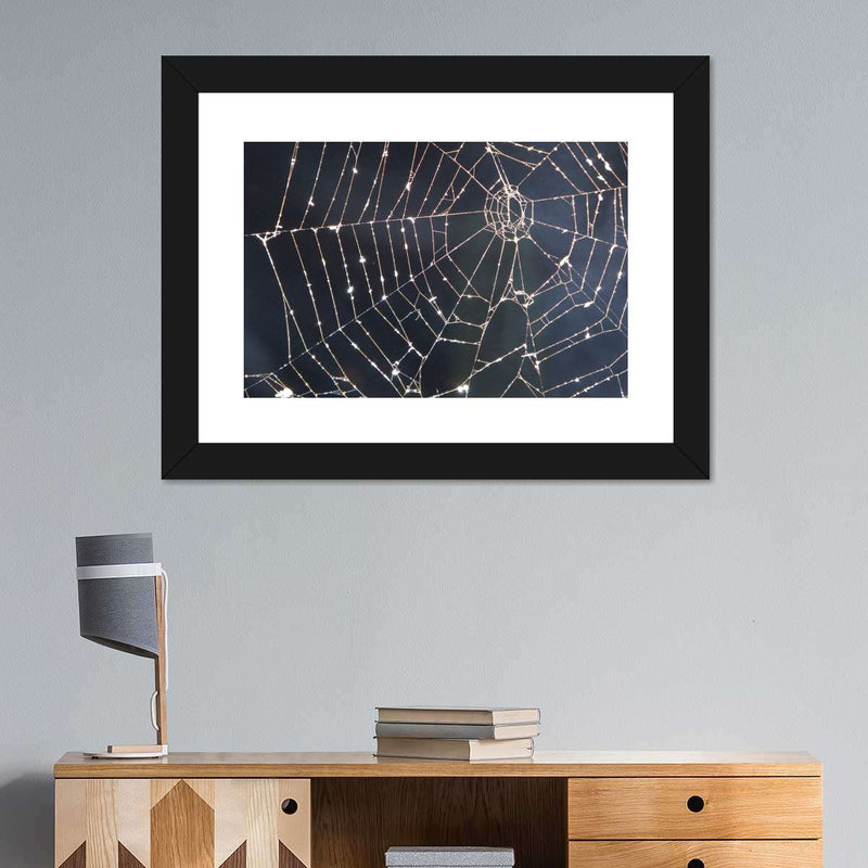 Spider Web Wall Art