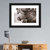 Moose Head Wall Art
