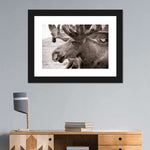 Moose Head Wall Art
