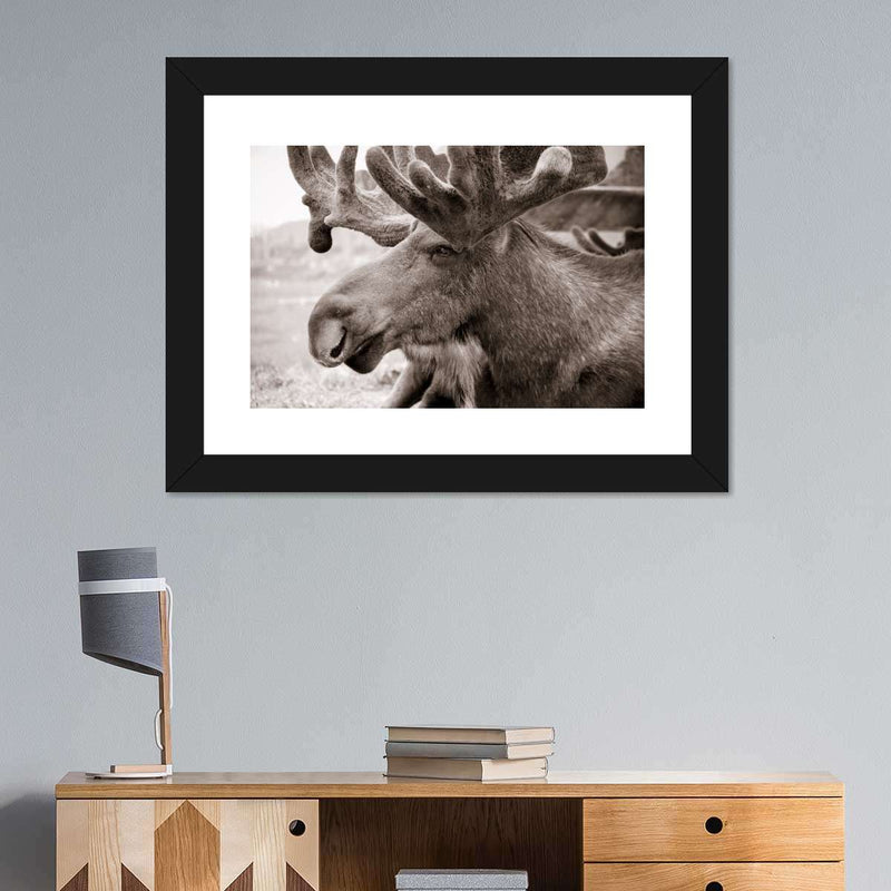 Moose Head Wall Art