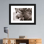 Moose Head Wall Art