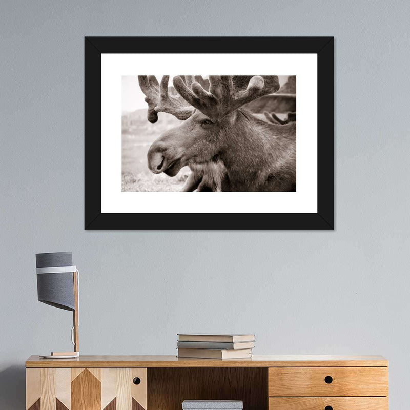 Moose Head Wall Art