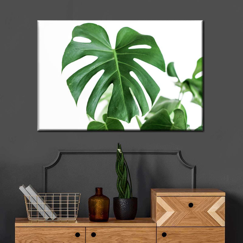 Monstera Leaf Wall Art